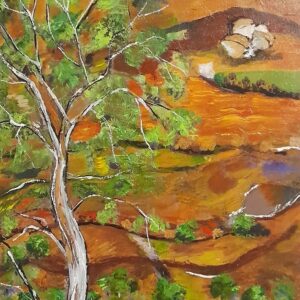 Red soil, rocks and tall gums
