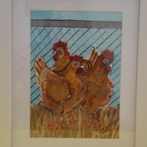 Brown chooks