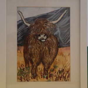 Highland Cow