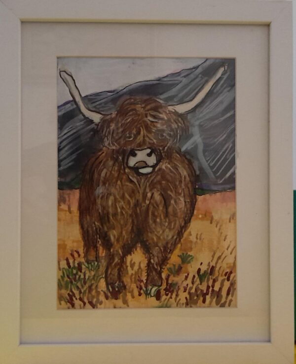 Highland Cow