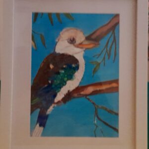 Kookaburra in the old gum tree