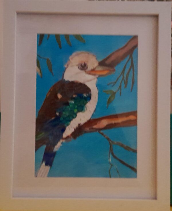 Kookaburra in the old gum tree