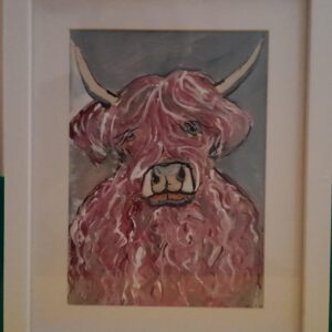 Pink Highland Cow