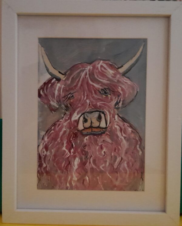 Pink Highland Cow