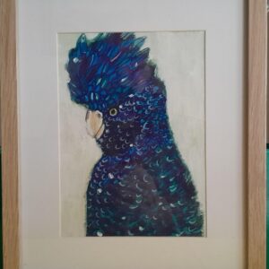 Blue Cockatoo