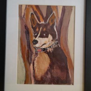 Alert Kelpie