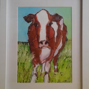 Red Friesian Cow