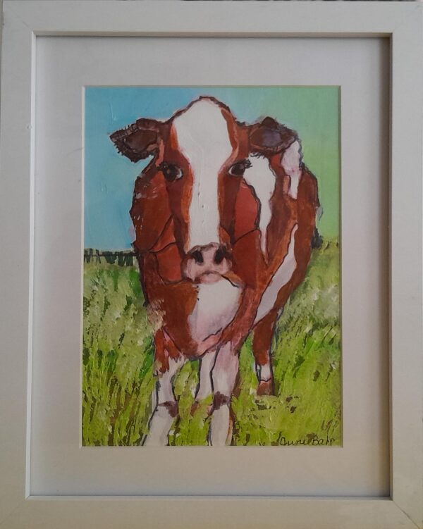 Red Friesian Cow