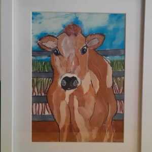 Jersey Cow