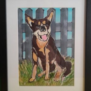 Smiling Kelpie