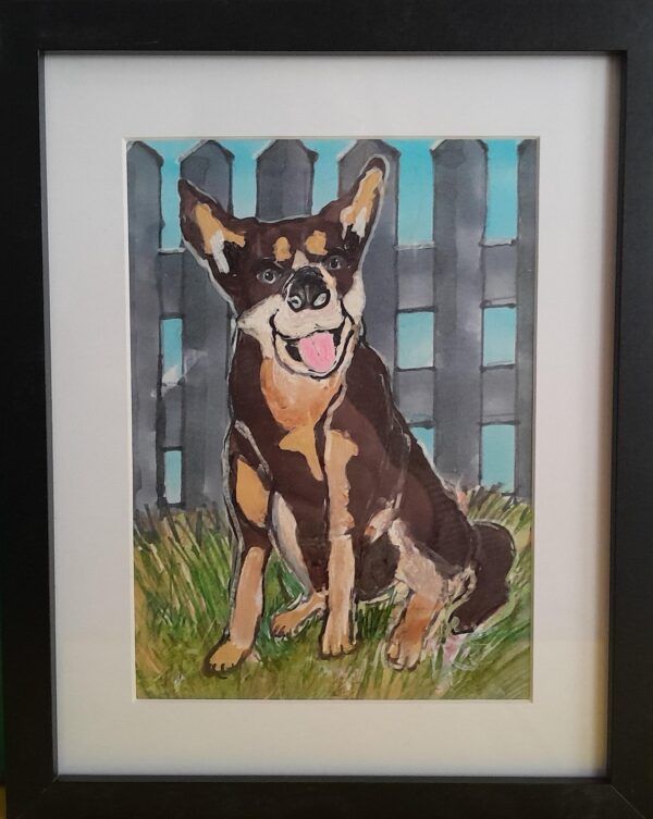 Smiling Kelpie