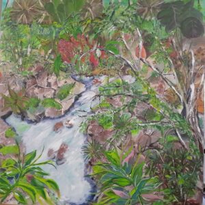 Mosman Gorge
