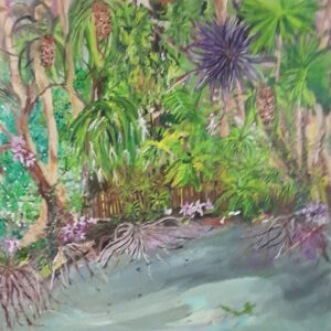 Daintree River Bank