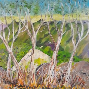 Snow gums with Billy Buttons