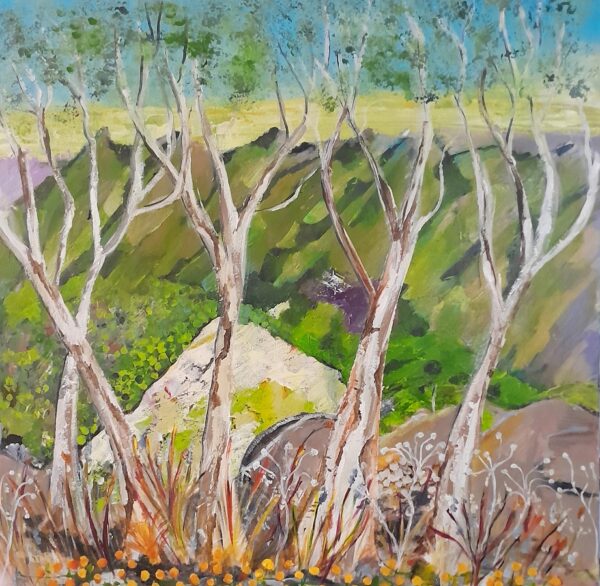Snow gums with Billy Buttons