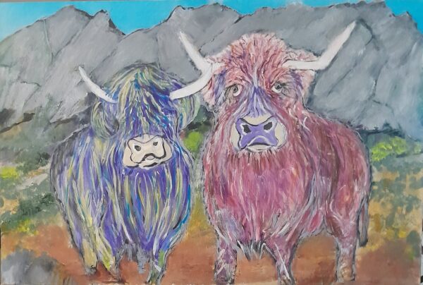 Two Happy Highland Cows