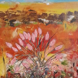 Mulla Mulla flowers near Broken Hill