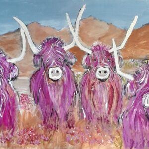 Highland Cows on the March