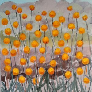 Yellow Billy Buttons