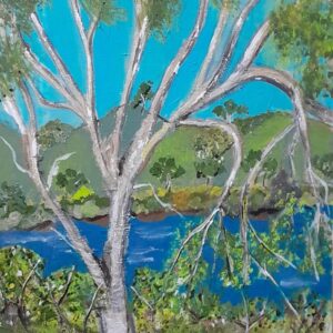 Magnificent eucalypt on the banks of the Hume Weir