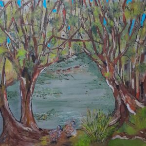 On the banks of the Murray