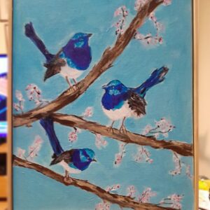 Blue wrens amongst the blossoms
