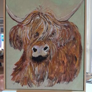 Highland Cow