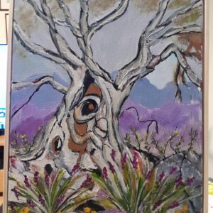 Very old snowgum